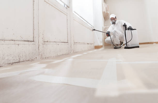 24/7 Emergency Commercial Mold Remediation experts in Berkeley Heights, NJ